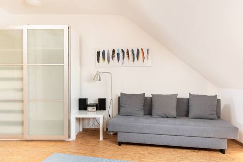 Spacious, bright attic apartment in Bonn