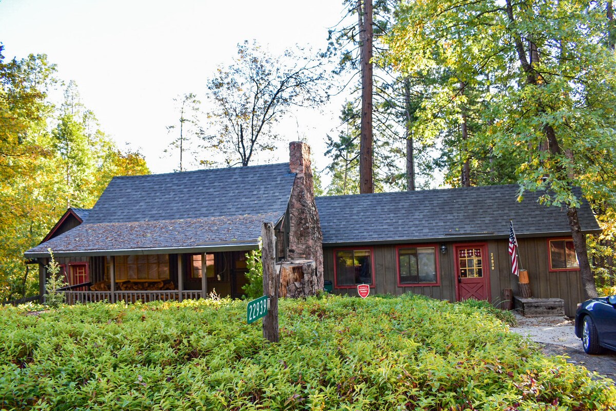 The cabin's exterior is framed by lush greenery, with a mix of tall trees and shrubs. A welcoming porch runs along the front, hinting at a rustic charm. The natural colors of the wood blend seamlessly with the surrounding foliage, while an American flag adds a touch of character.