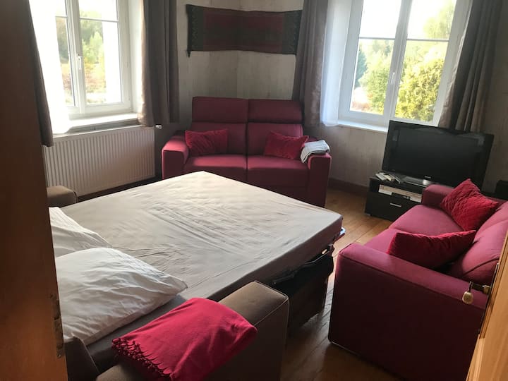 Living room equipped with a very comfortable convertible