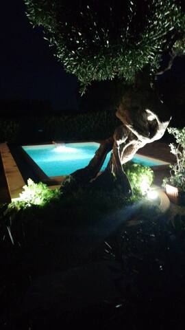 Villa Alessandra gallery image 3