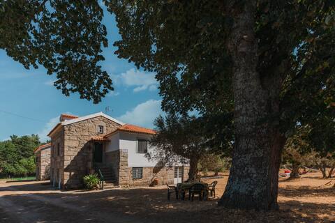 Relaxing cottage getaway in spacious farmland