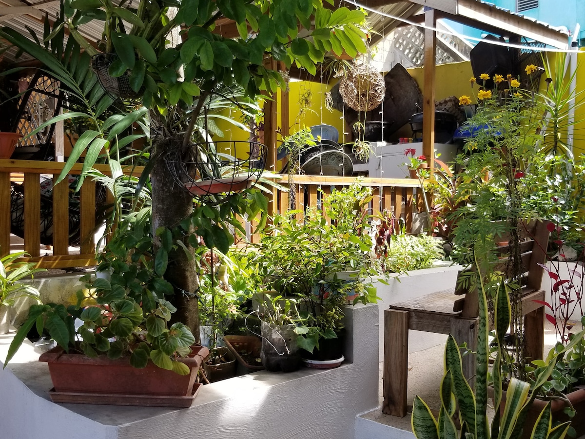 A vibrant outdoor area is surrounded by lush greenery and a variety of potted plants. The wooden railing provides a welcoming entrance to the space, with bright yellow walls in the background and natural light filtering through the foliage.