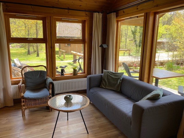 ცხოვრება