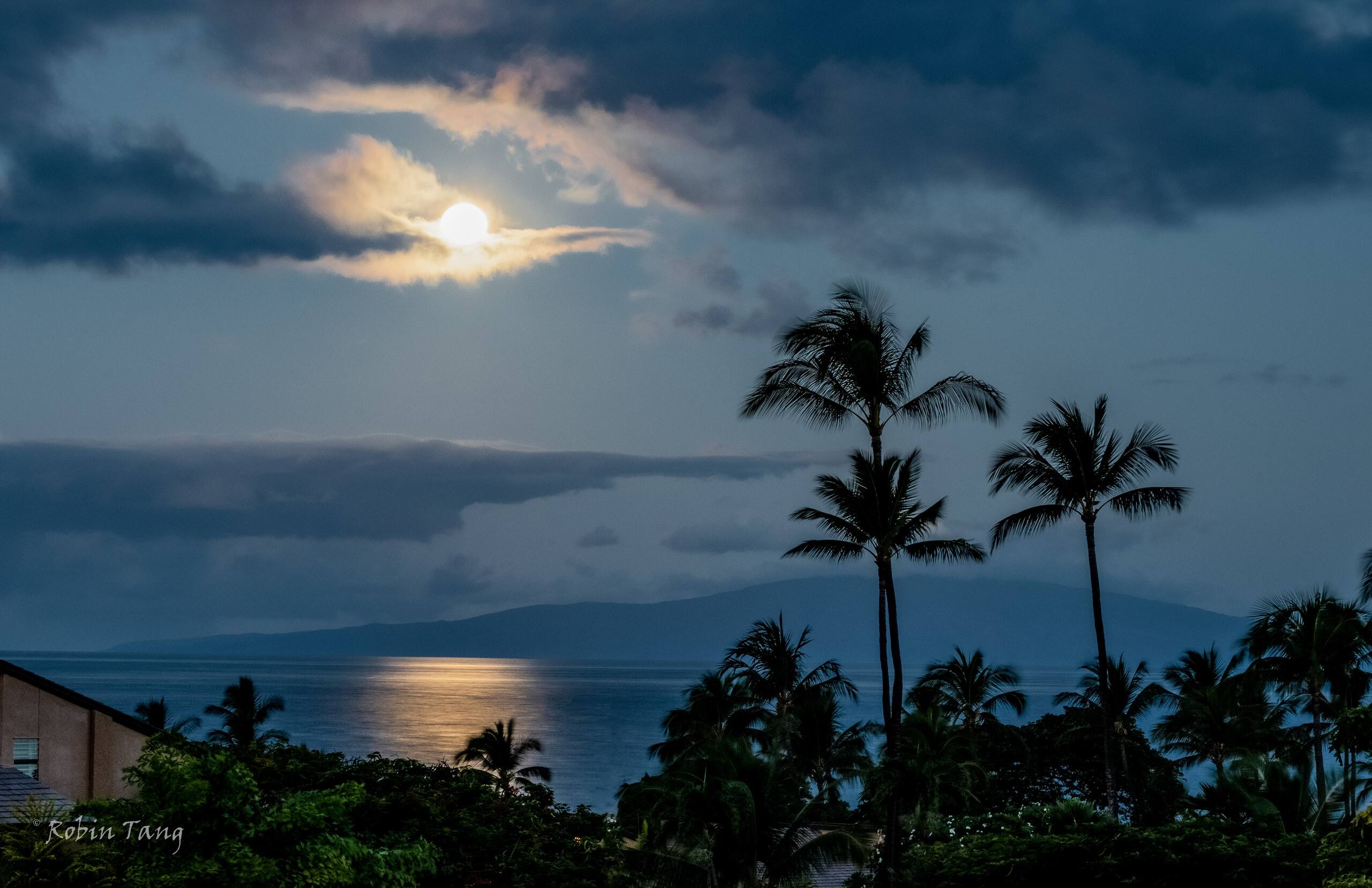 Condo in Kihei · ★4.44 · 1 bedroom · 1 bed · 2 baths - Image 9