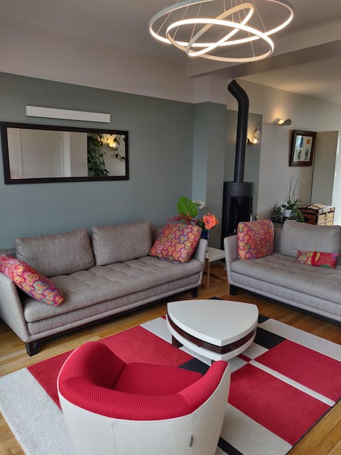 spacious and confortable house with garden