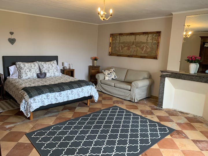 Large main bedroom with king size bed and love seat.