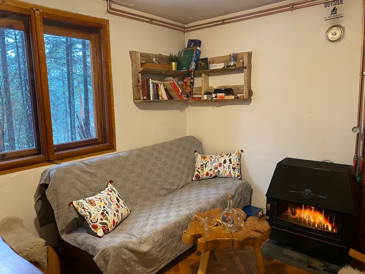 A cozy seating area features a rustic wooden shelf displaying books and decorative items. A comfortable couch is adorned with patterned cushions, positioned near a wood-burning stove that offers warmth. Windows provide a view of the surrounding trees, enhancing the natural ambiance.