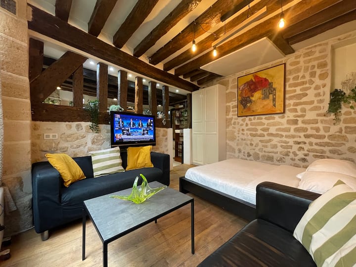 Charming Apt Rue st André des arts