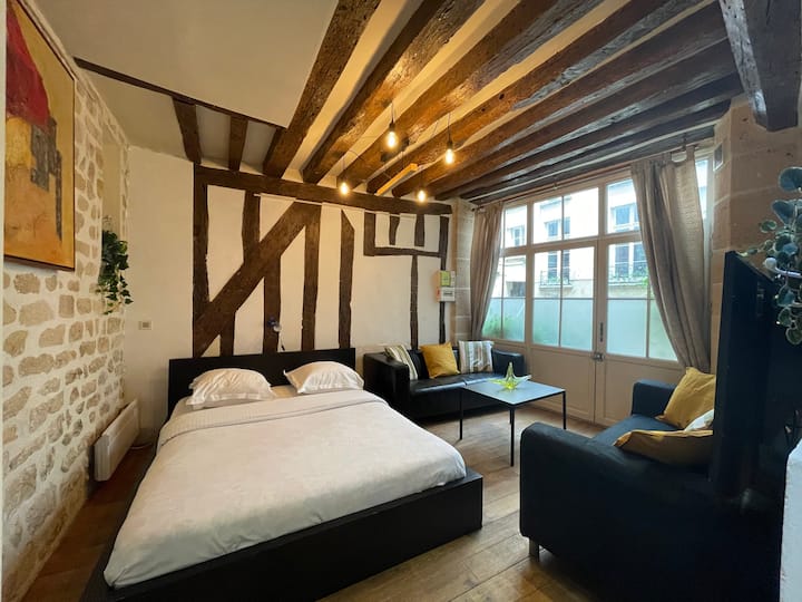 Charming Apt Rue st André des arts