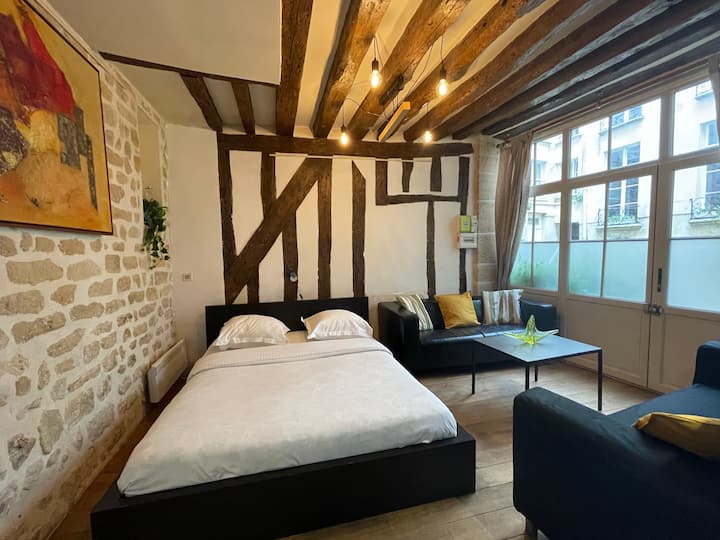 Charming Apt Rue st André des arts