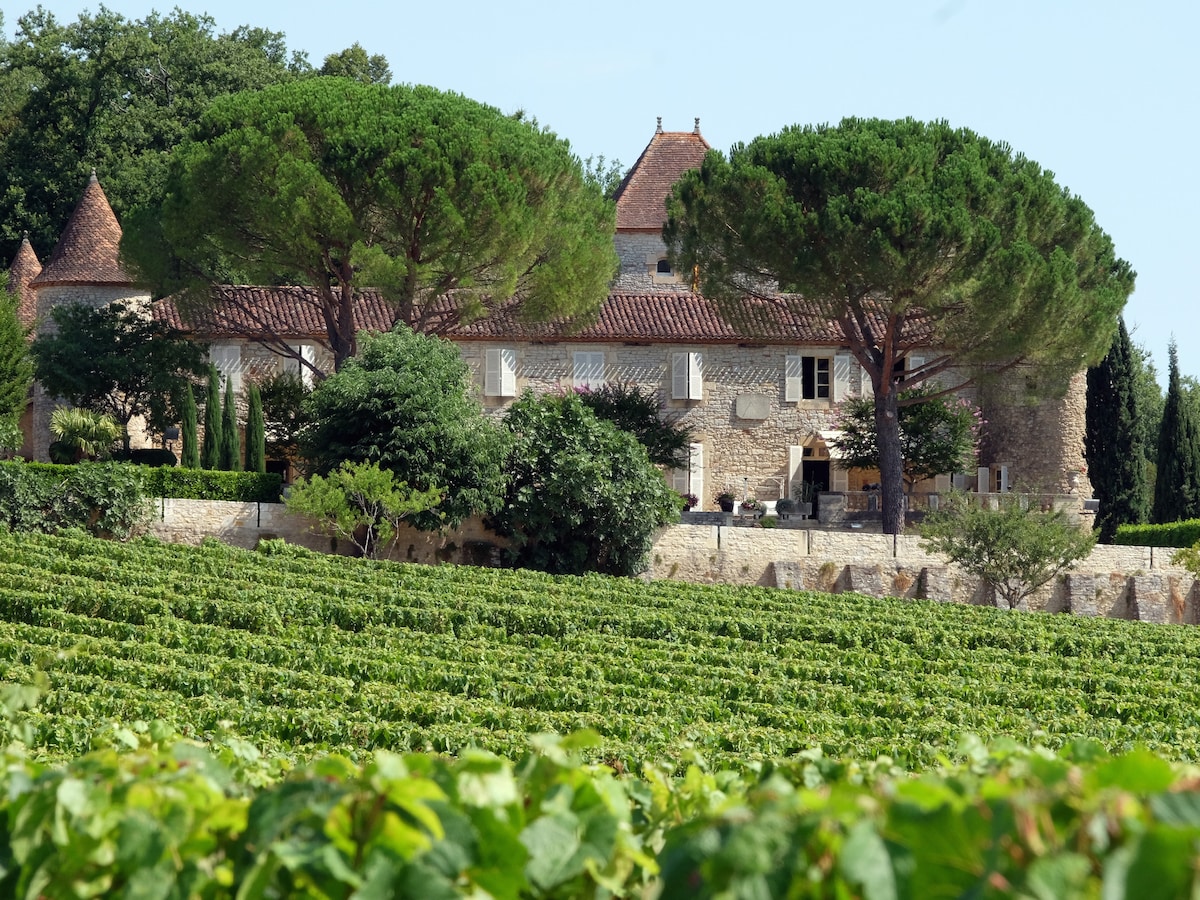 An 18th Century stone property is surrounded by lush green vineyards. Tall, manicured trees provide shade near the house, which features a mix of shuttered windows and traditional tiles. The setting reflects a serene rural landscape, inviting relaxation in a tranquil environment.