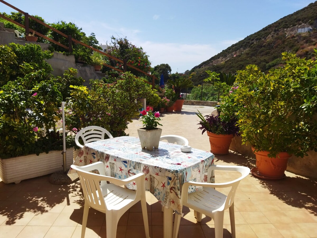 A sunlit outdoor terrace features a table adorned with a floral tablecloth. Surrounding greenery includes various potted plants, enhancing the natural ambiance. White chairs are positioned around the table, and distant hills are visible in the background under a clear blue sky.