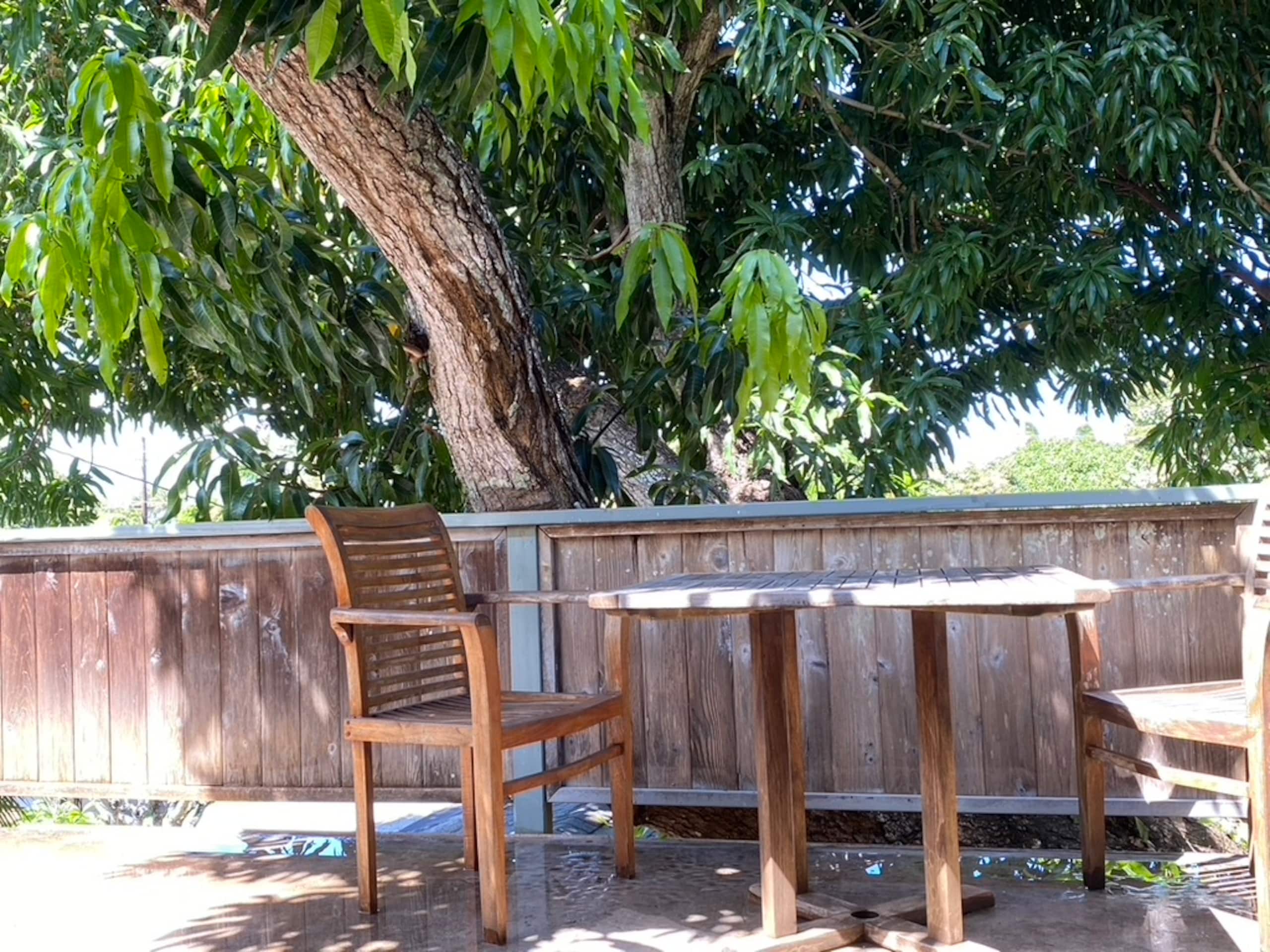 Home in Paia · ★4.75 · 1 bedroom · 2 beds · 1 private bath - Image 14