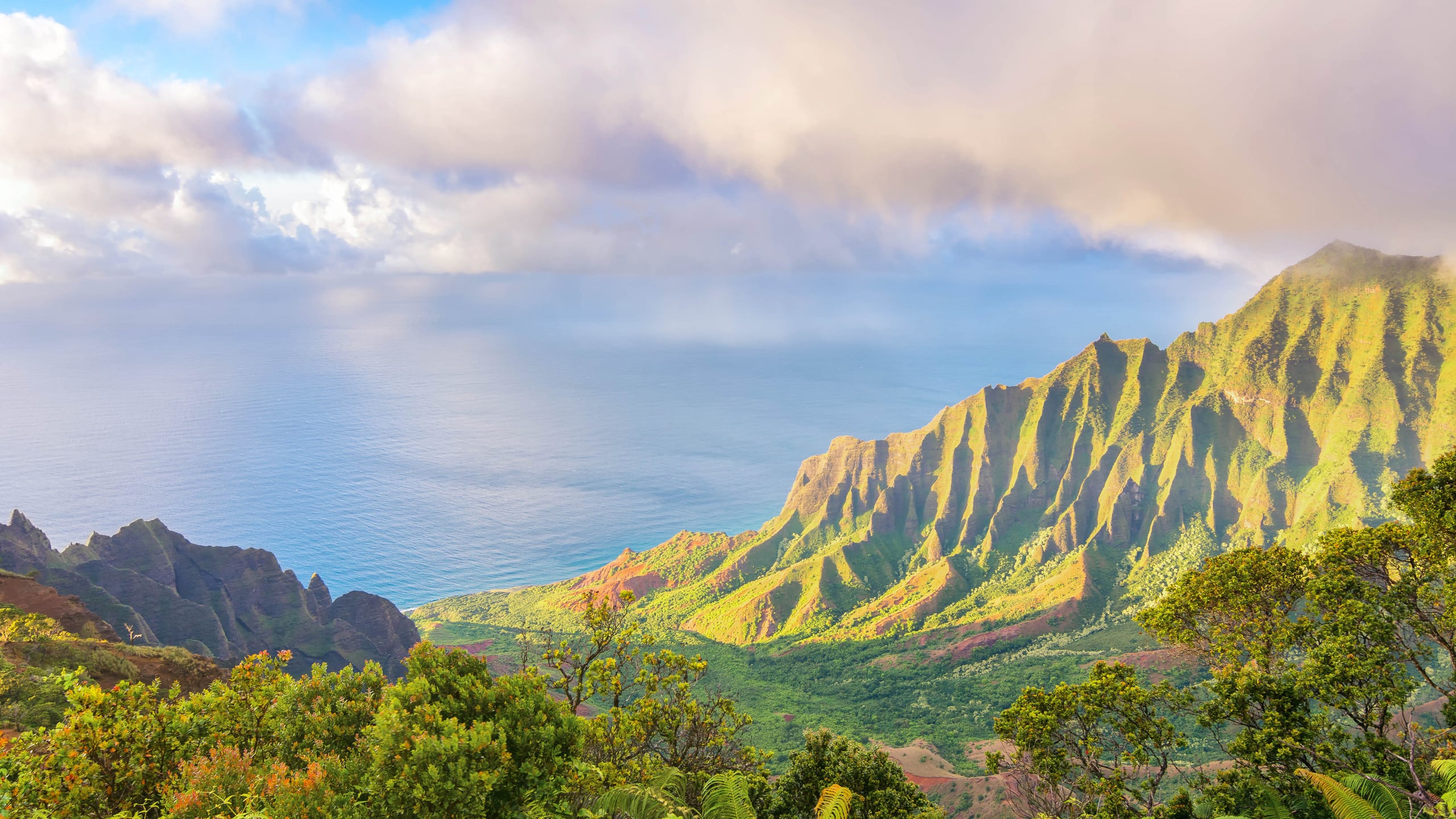 Condo in Princeville · ★4.82 · 1 bedroom · 2 beds · 1 private bath - Image 13