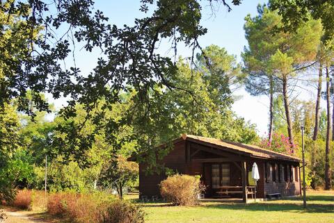 Chalet 6 – In the heart of the forest on the edge of the Ciron