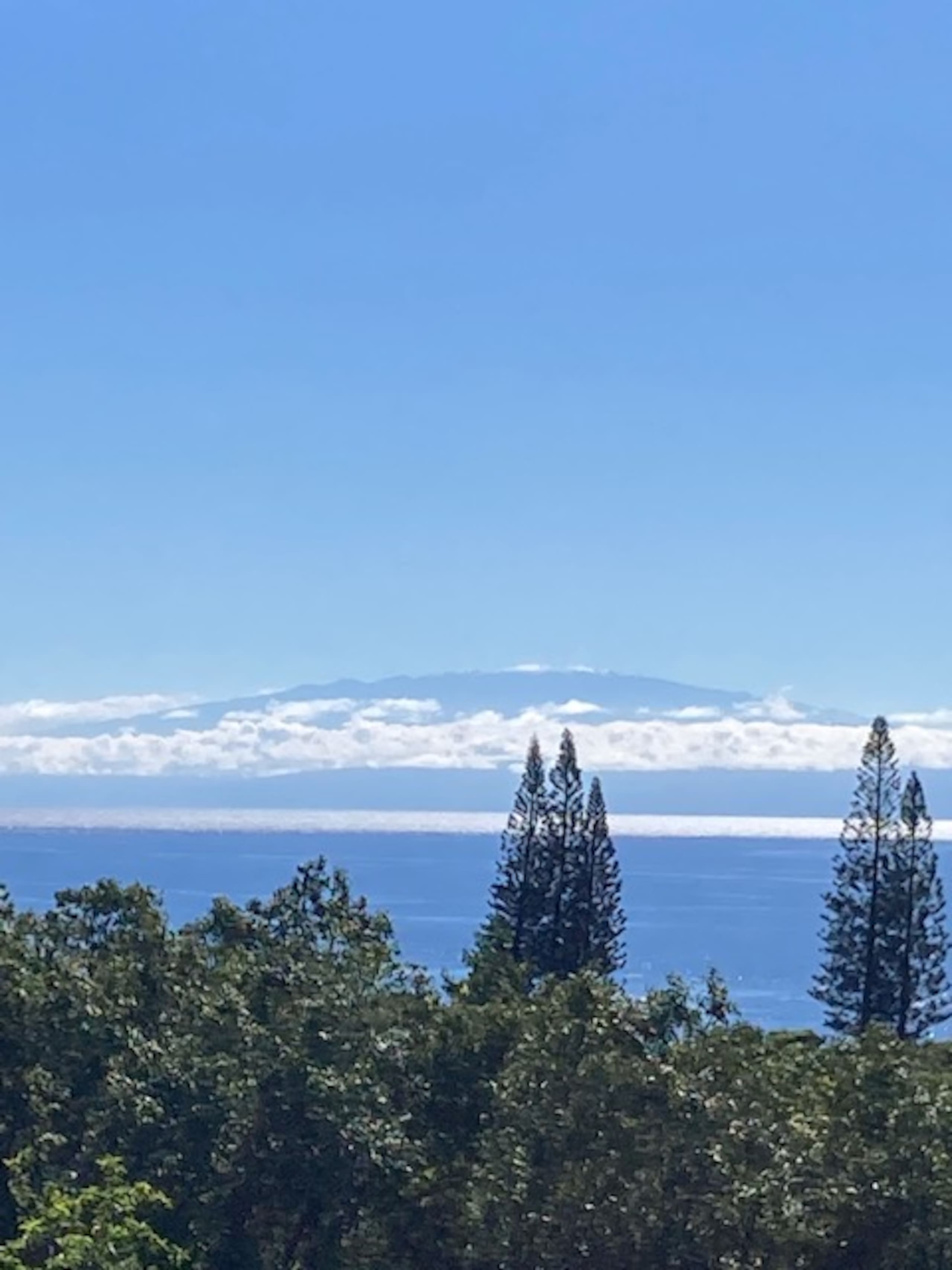 Ala Type Ocean Vista - Hana Bed & Breakfast - Photo 10