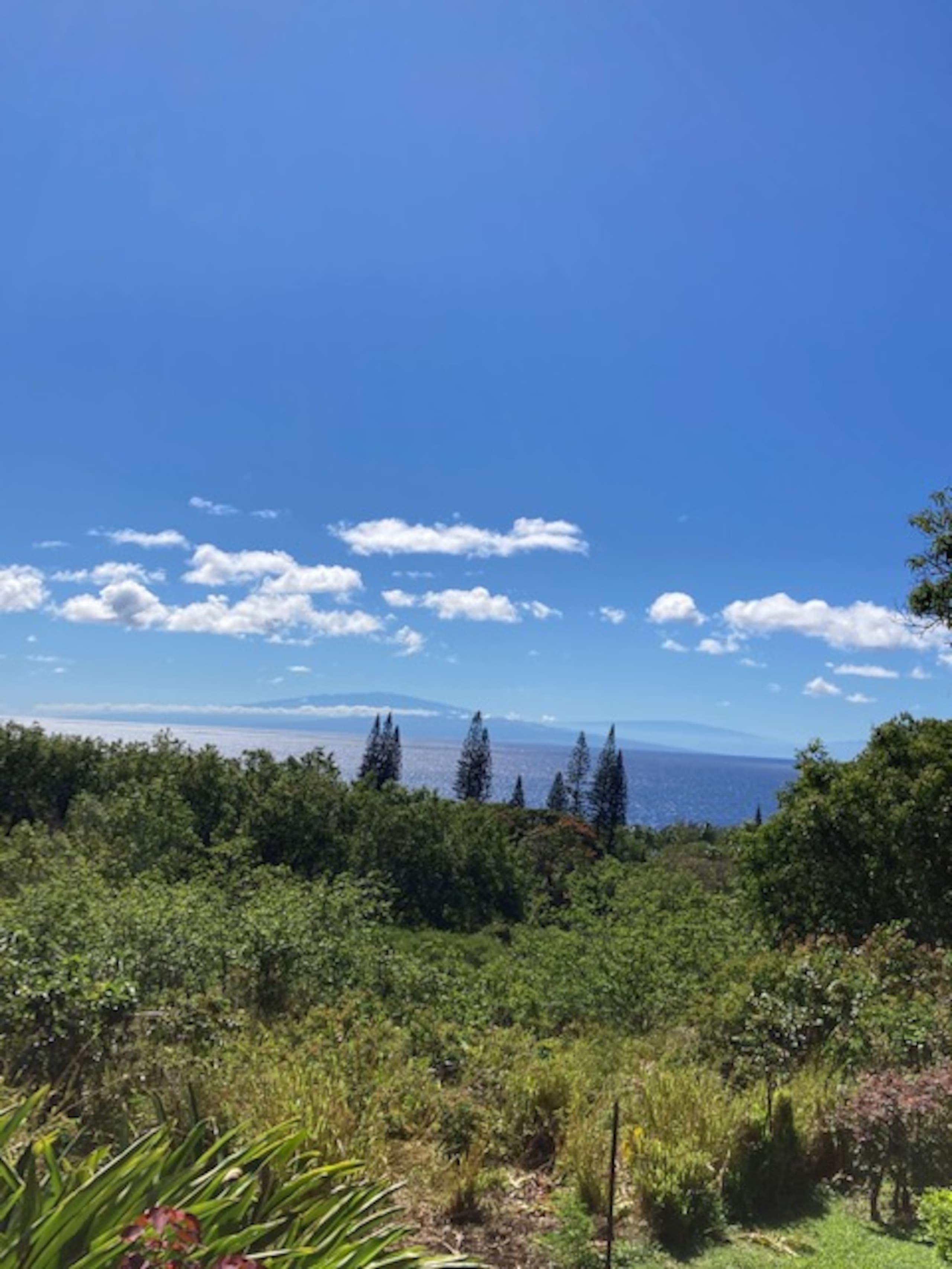 Ala Type Ocean Vista - Hana Bed & Breakfast - Photo 9