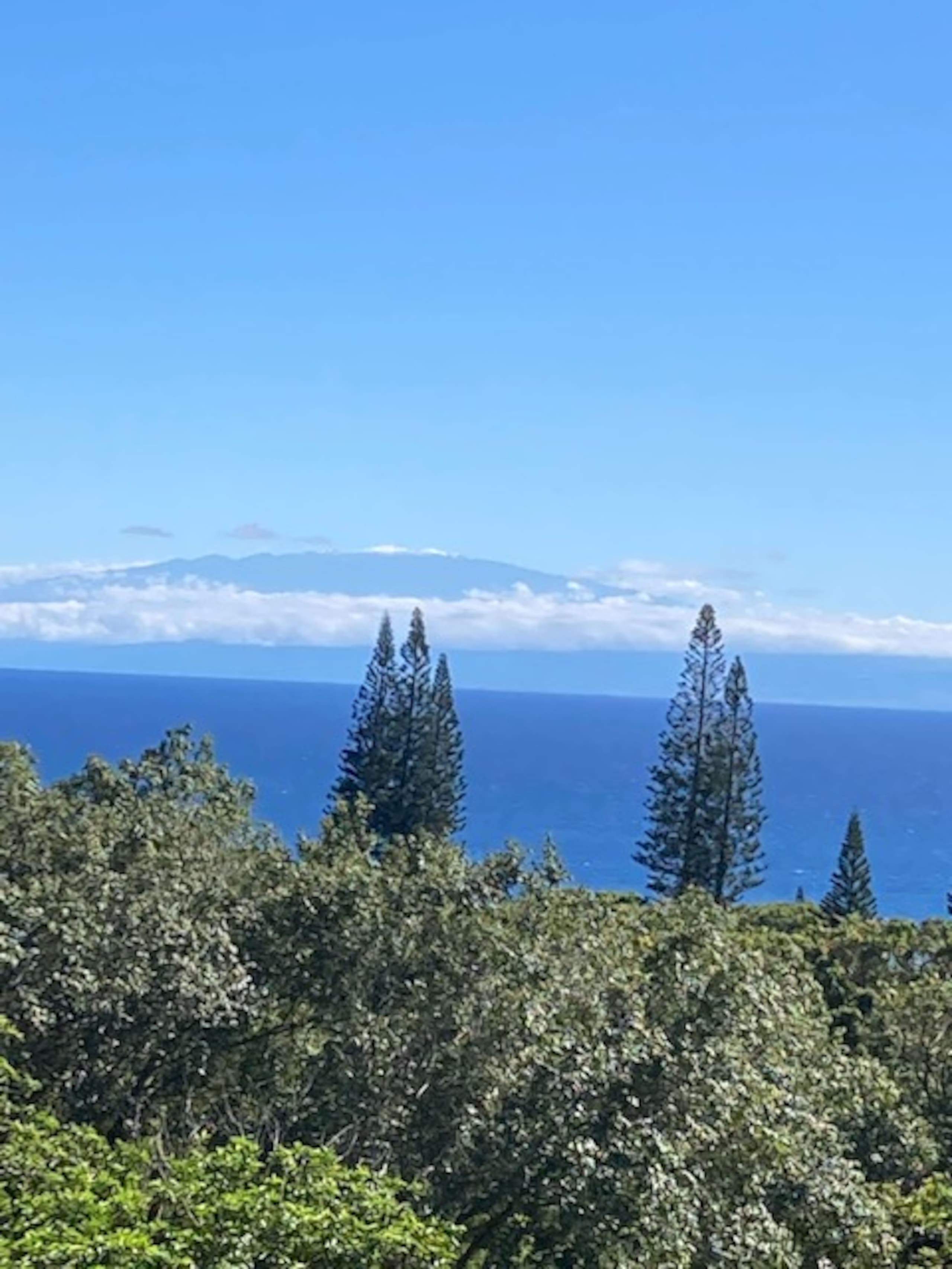Ala Type Ocean Vista - Hana Bed & Breakfast - Photo 11
