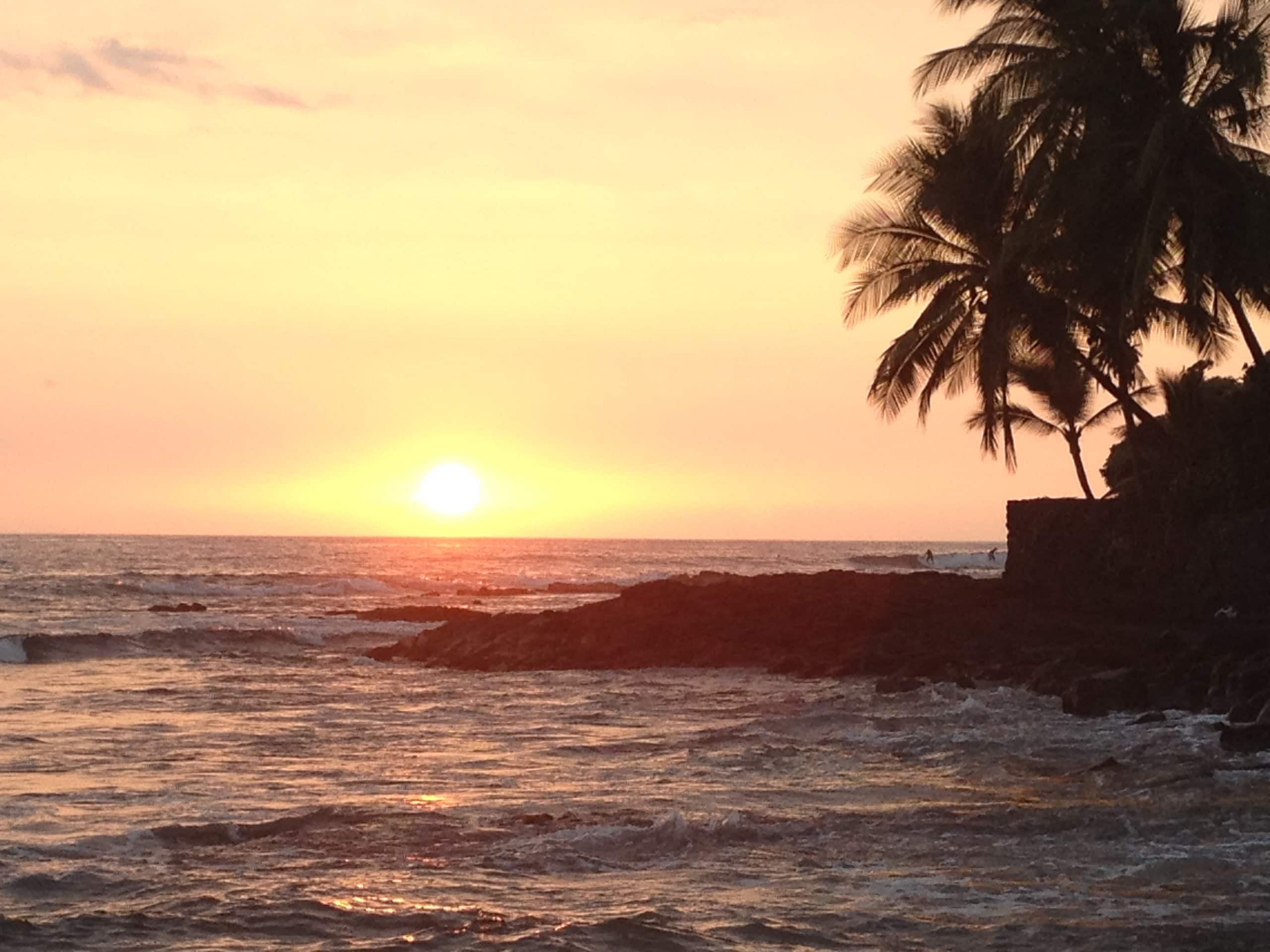 * Prime Ocean Front Location* $250/nt 2 bd, 2 ba - Photo 9