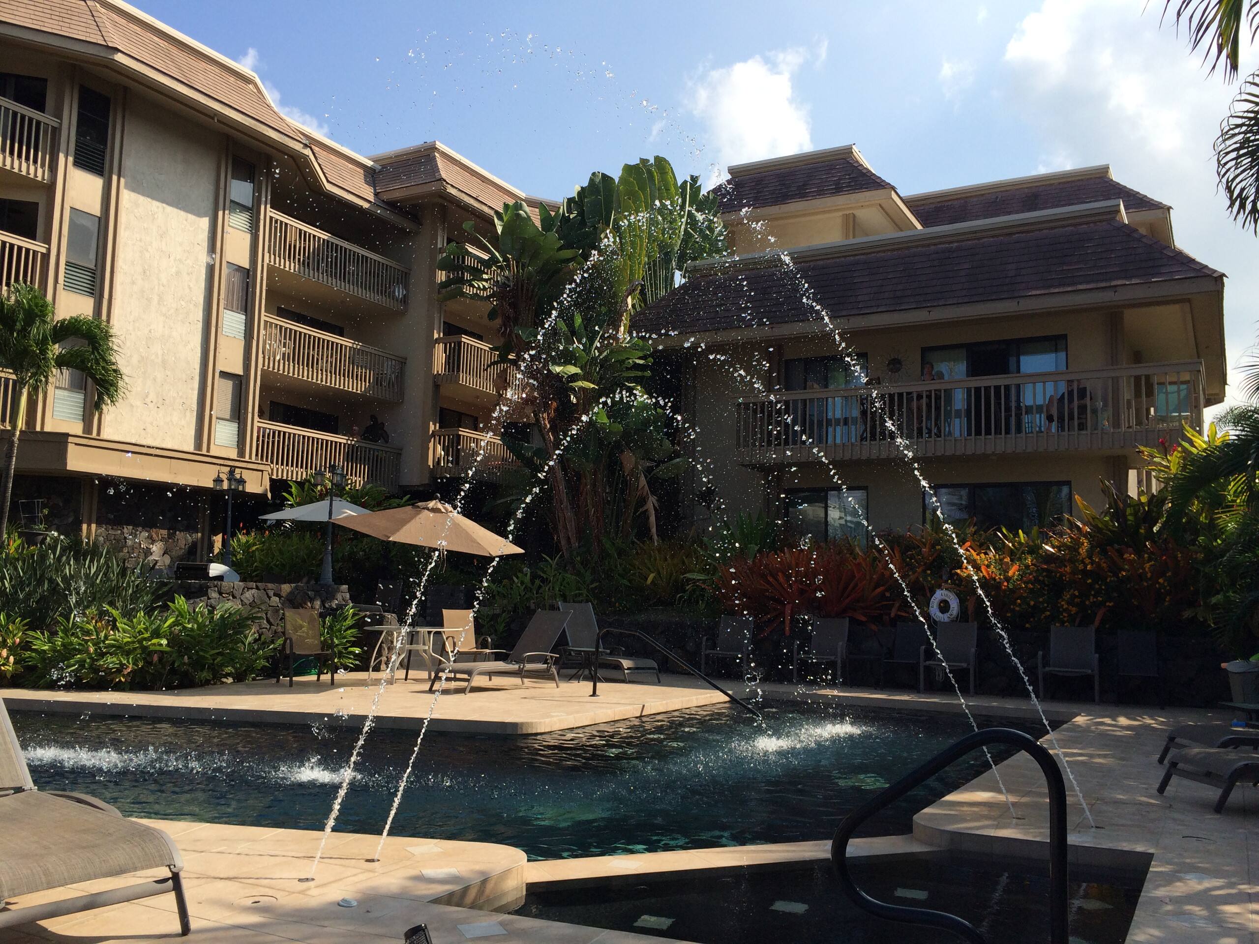 * Prime Ocean Front Location* $250/nt 2 bd, 2 ba - Photo 7