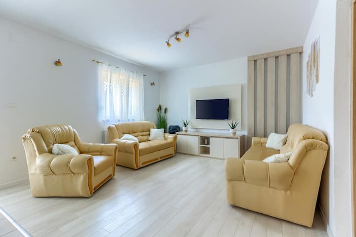 客厅里有卫星电视和蓝牙扬声器