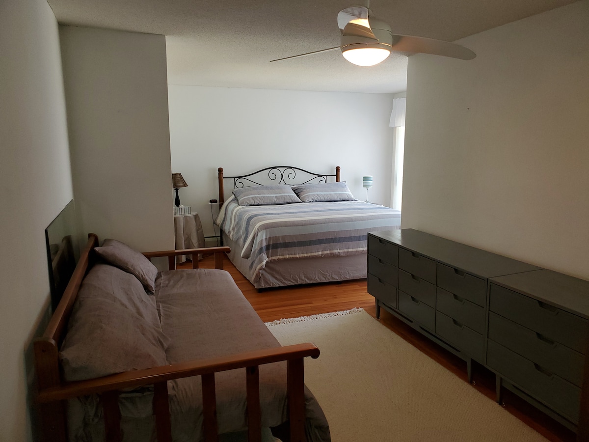 Master Bedroom - Main floor has a King bed, a twin daybed and dressers.