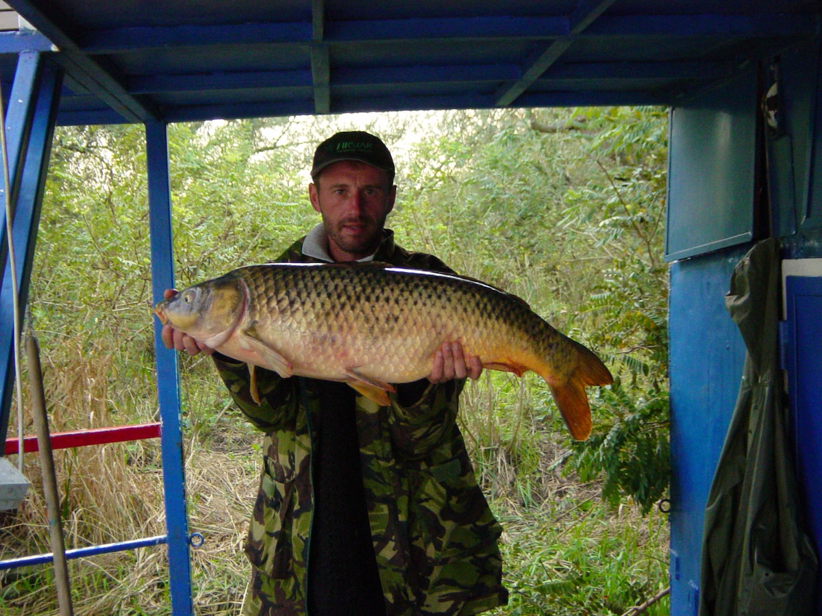 A person holds a large fish in both hands, displaying its patterned scales and vibrant colors. The background features green foliage and a blue structure, likely a part of the floating hotel, giving a sense of connection to nature.