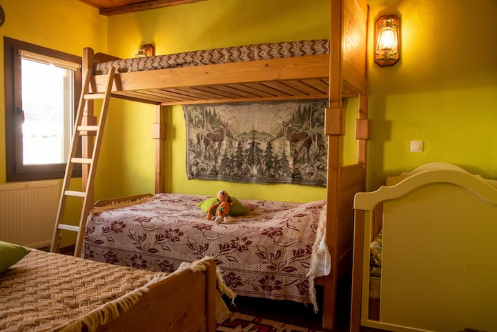 Forest Bedroom. Kids they love it.