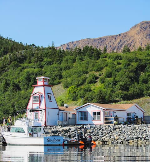Lighthouse Suites | On Fjord & Next to Tablelands