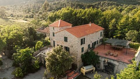 House with pool in the heart of an organic vineyard