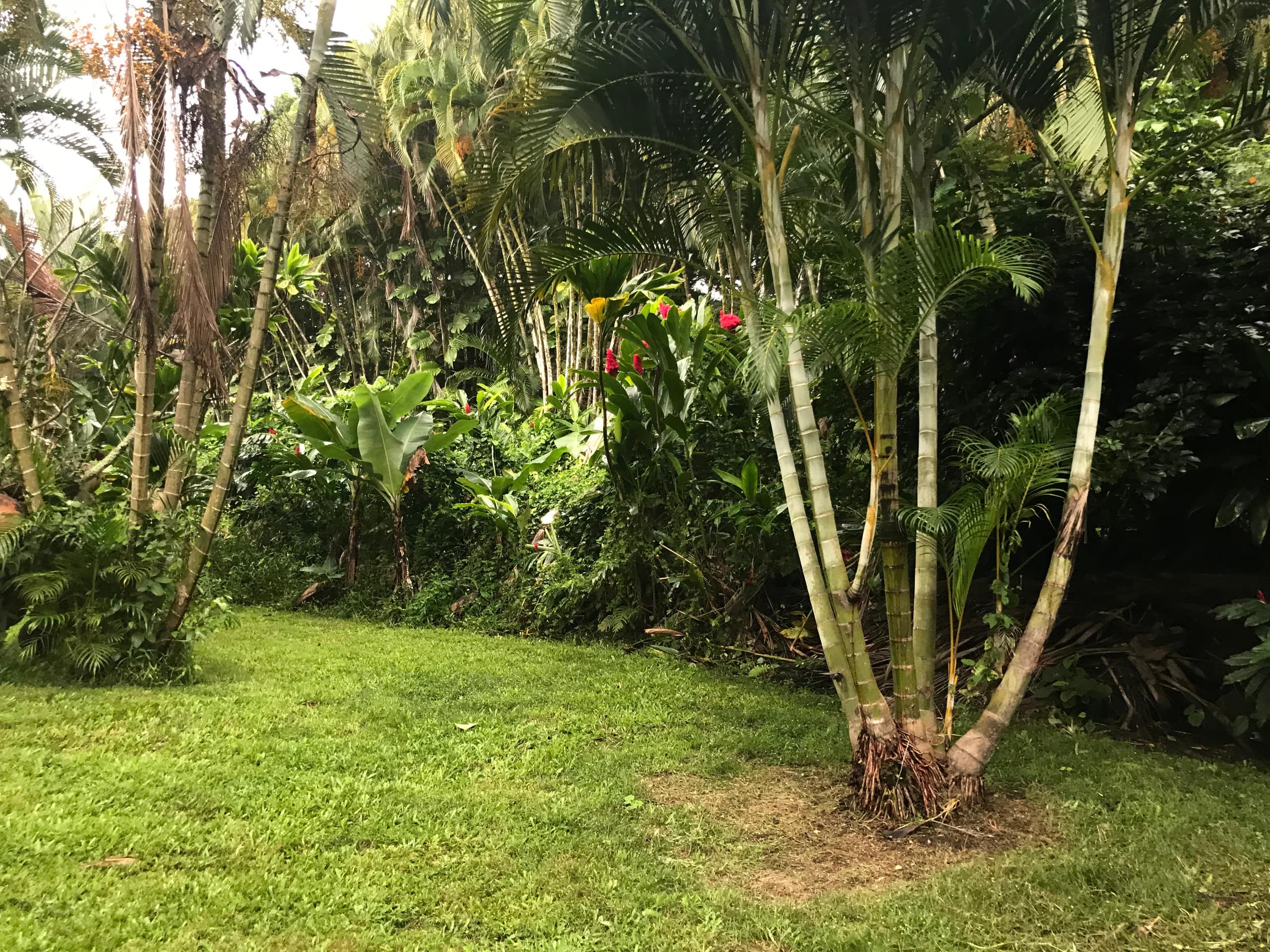 Guesthouse in Hana · ★4.76 · 2 bedrooms · 2 beds · 1 bath - Photo 16