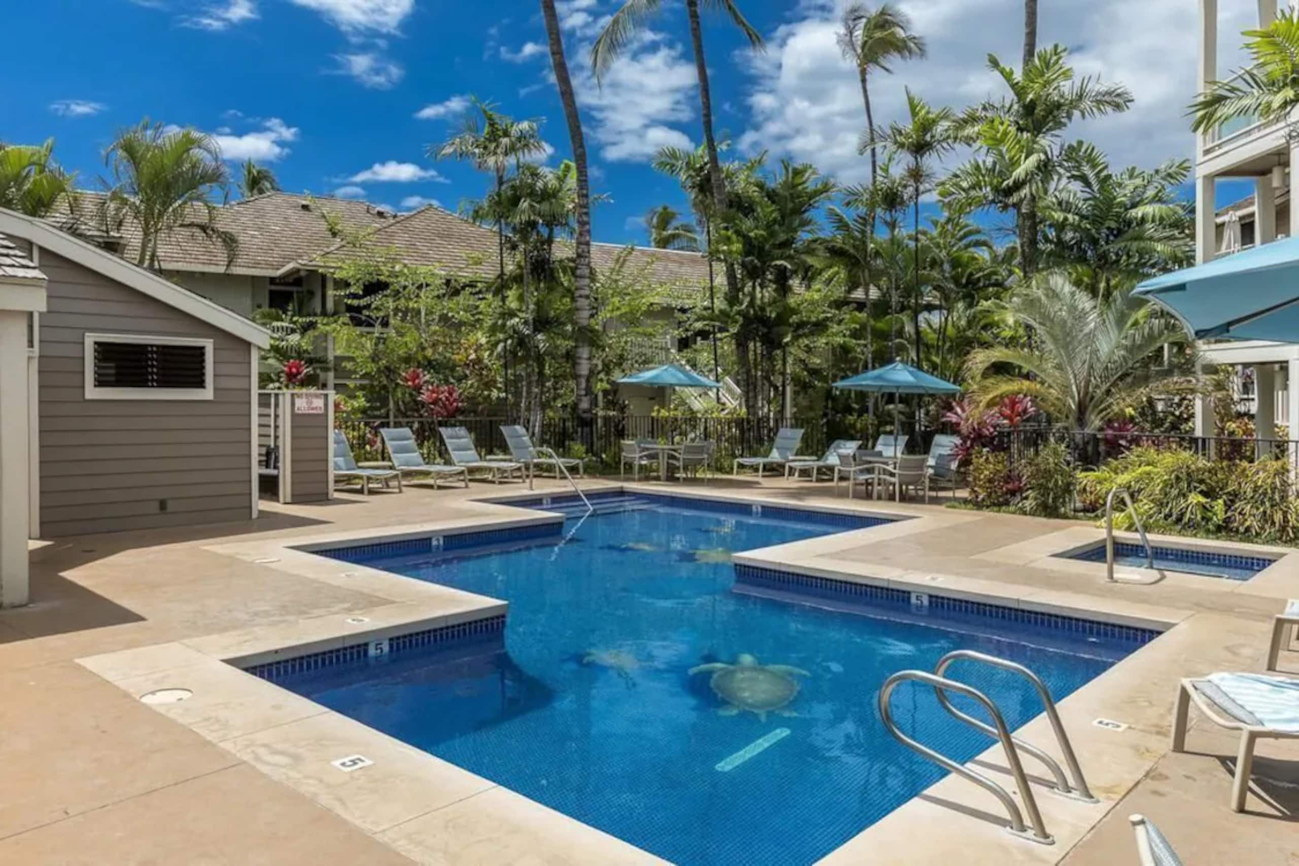 Condo in Wailea · ★4.91 · 1 bedroom · 2 beds · 2 private baths - Image 40