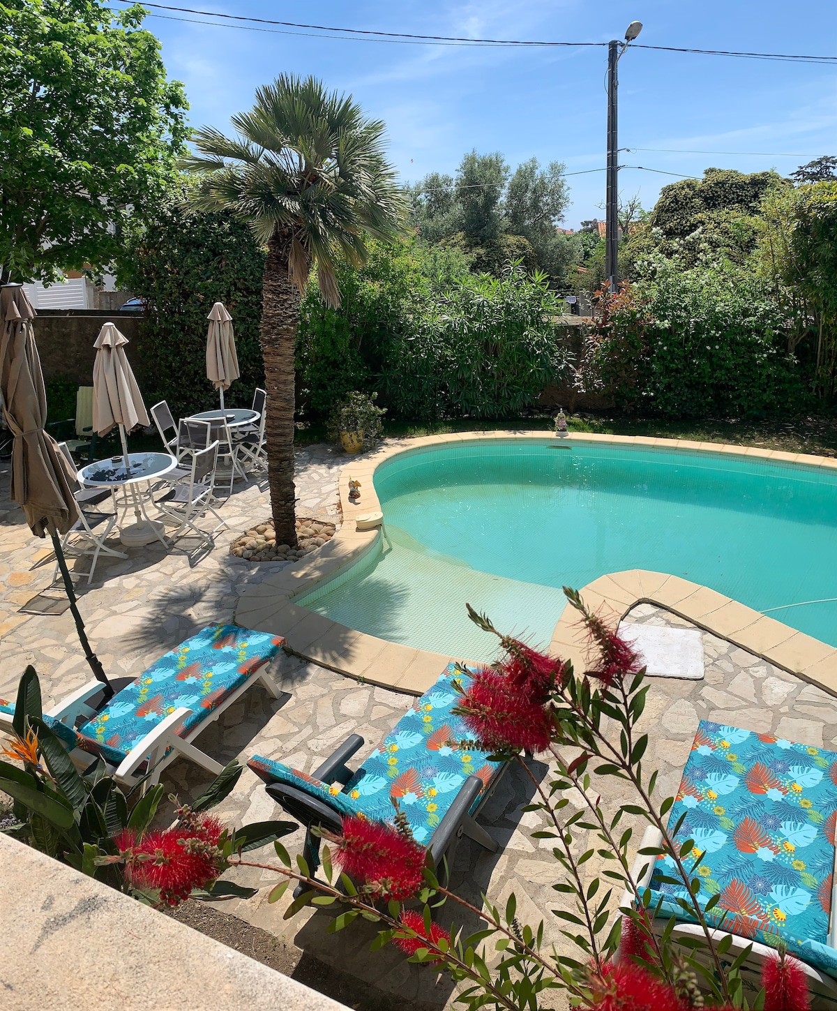 A tranquil pool area is showcased with clear water surrounded by a decorative stone patio. Loungers adorned with vibrant patterned fabric provide seating options alongside a palm tree. Umbrellas offer shade, while lush greenery forms a natural backdrop.