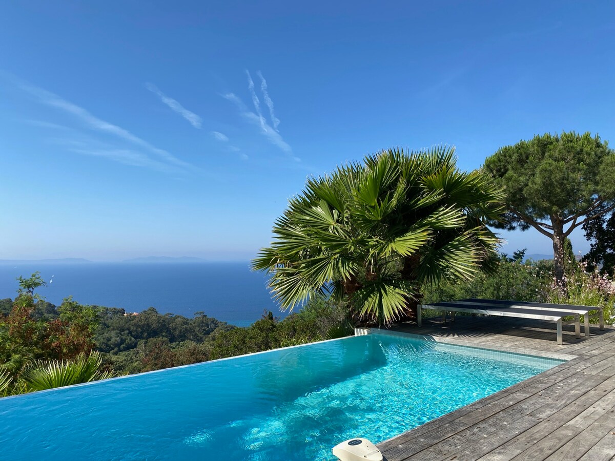 An infinity pool with clear blue water is surrounded by a wooden deck, providing a relaxing atmosphere with coastal greenery. The ocean glistens in the distance under a clear sky, complemented by lush palm trees nearby, enhancing the natural scenery.