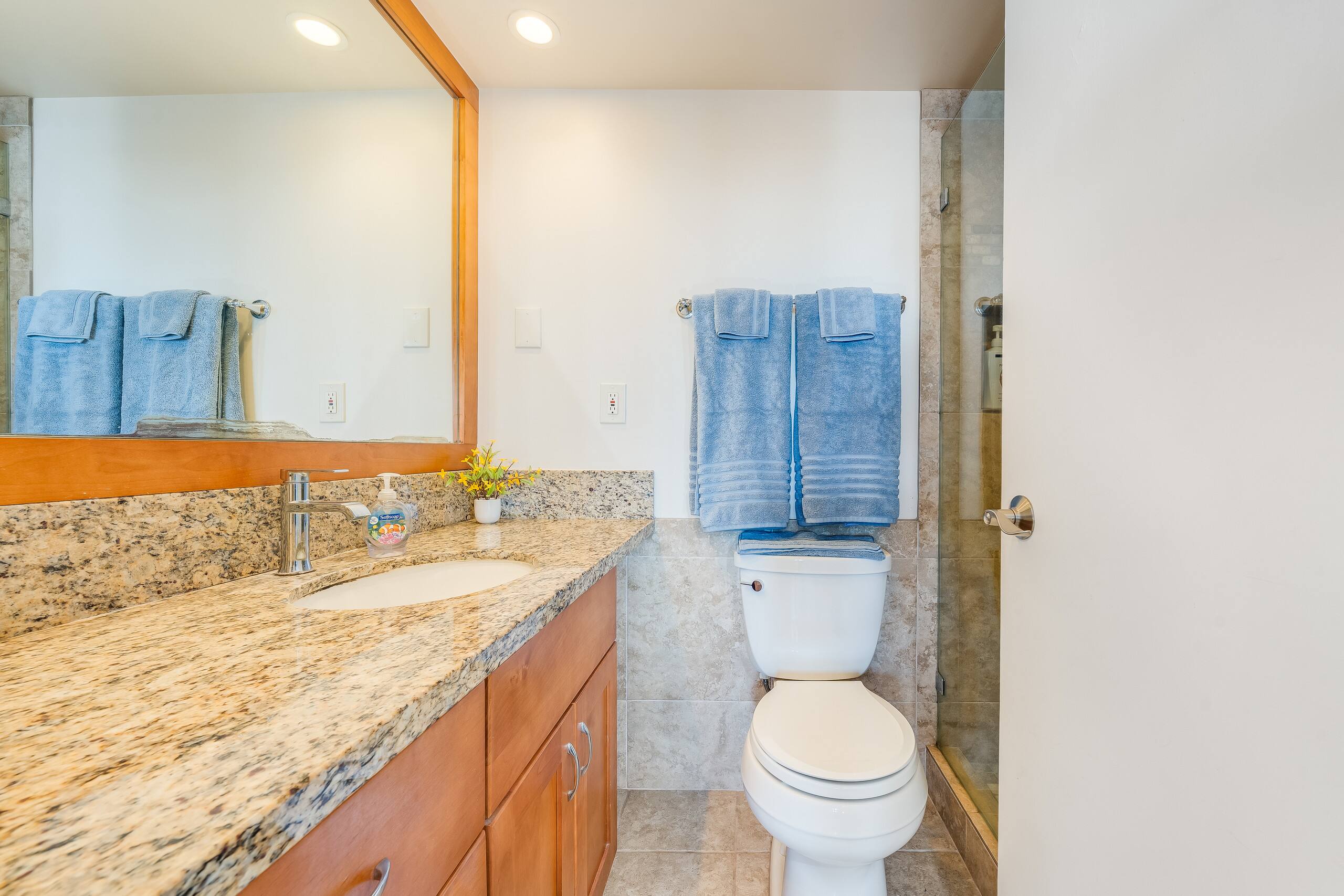 Condo in Kihei · ★4.92 · 2 bedrooms · 2 beds · 2 baths - Image 14