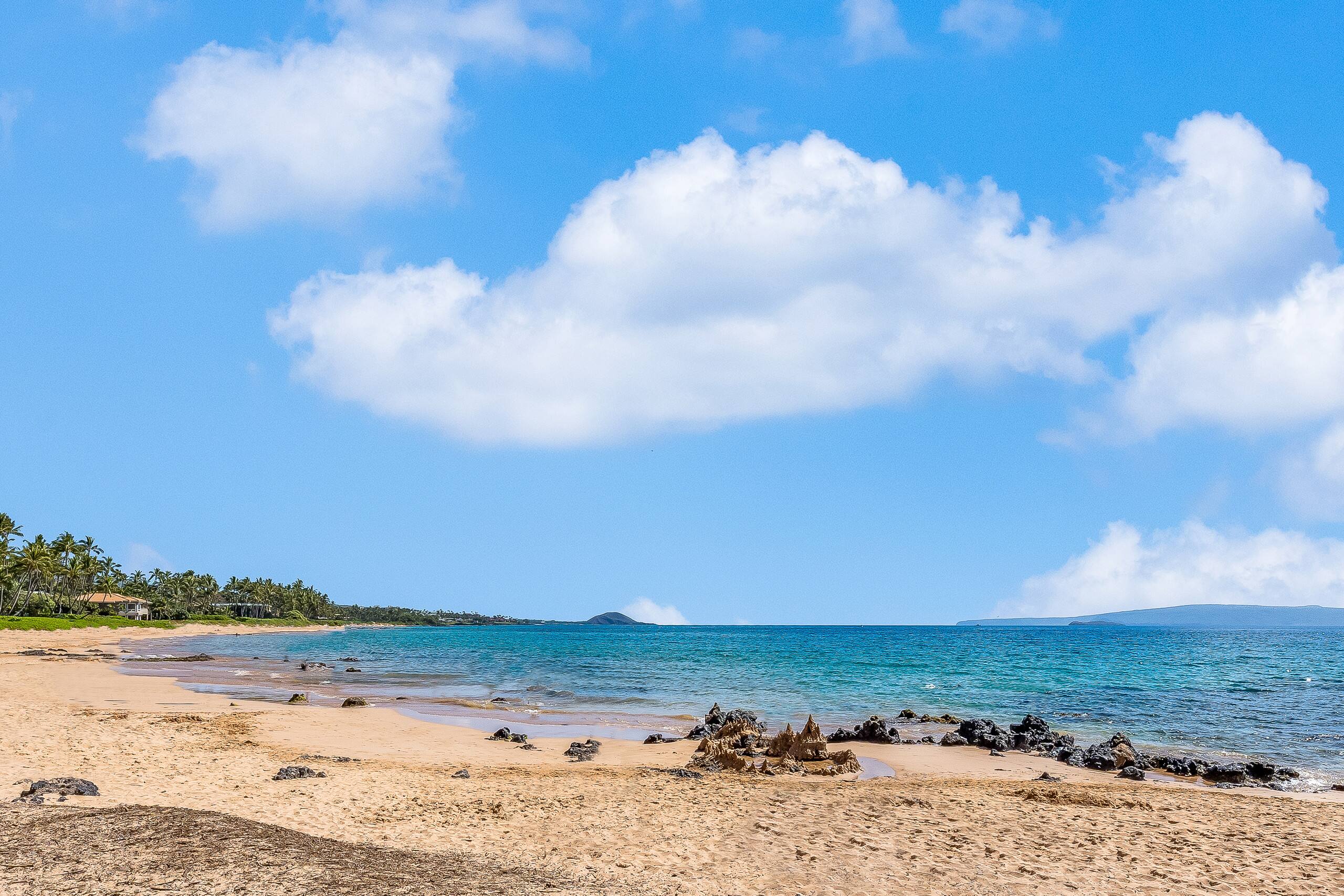 Condo in Kihei · ★4.92 · 2 bedrooms · 2 beds · 2 baths - Image 25
