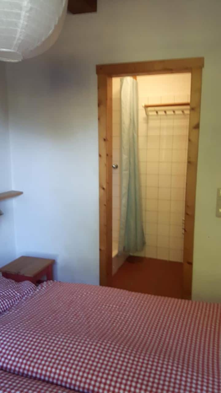 נוף מחדר השינה הראשי לחדר הרחצה (קומת קרקע)