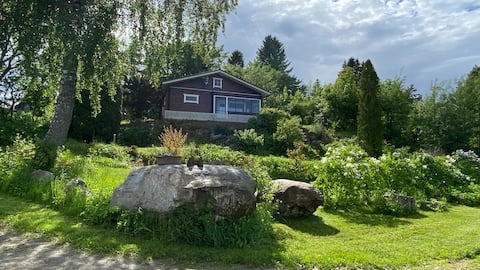 A new log cabin with a beautiful view to a lake