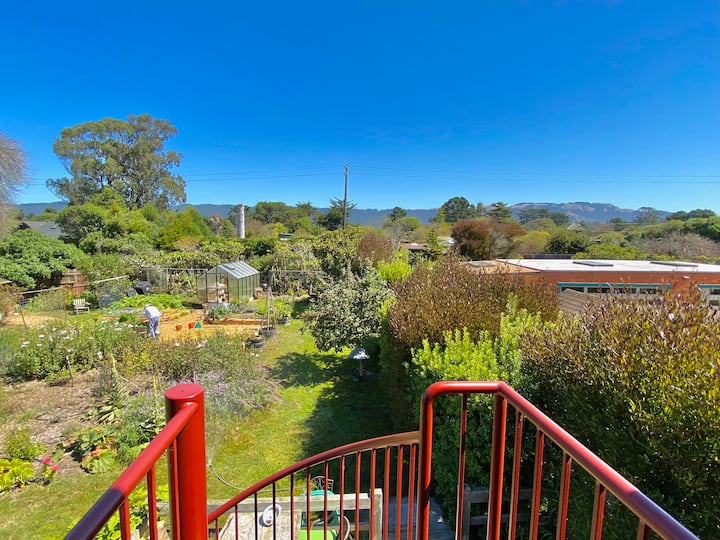 Top 16 Airbnb Vacation Rentals In Bolinas, California Updated 2024