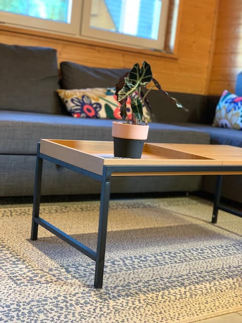 Successful Airbnb property: Scandinavian Cottages Kopalino in Gmina Choczewo