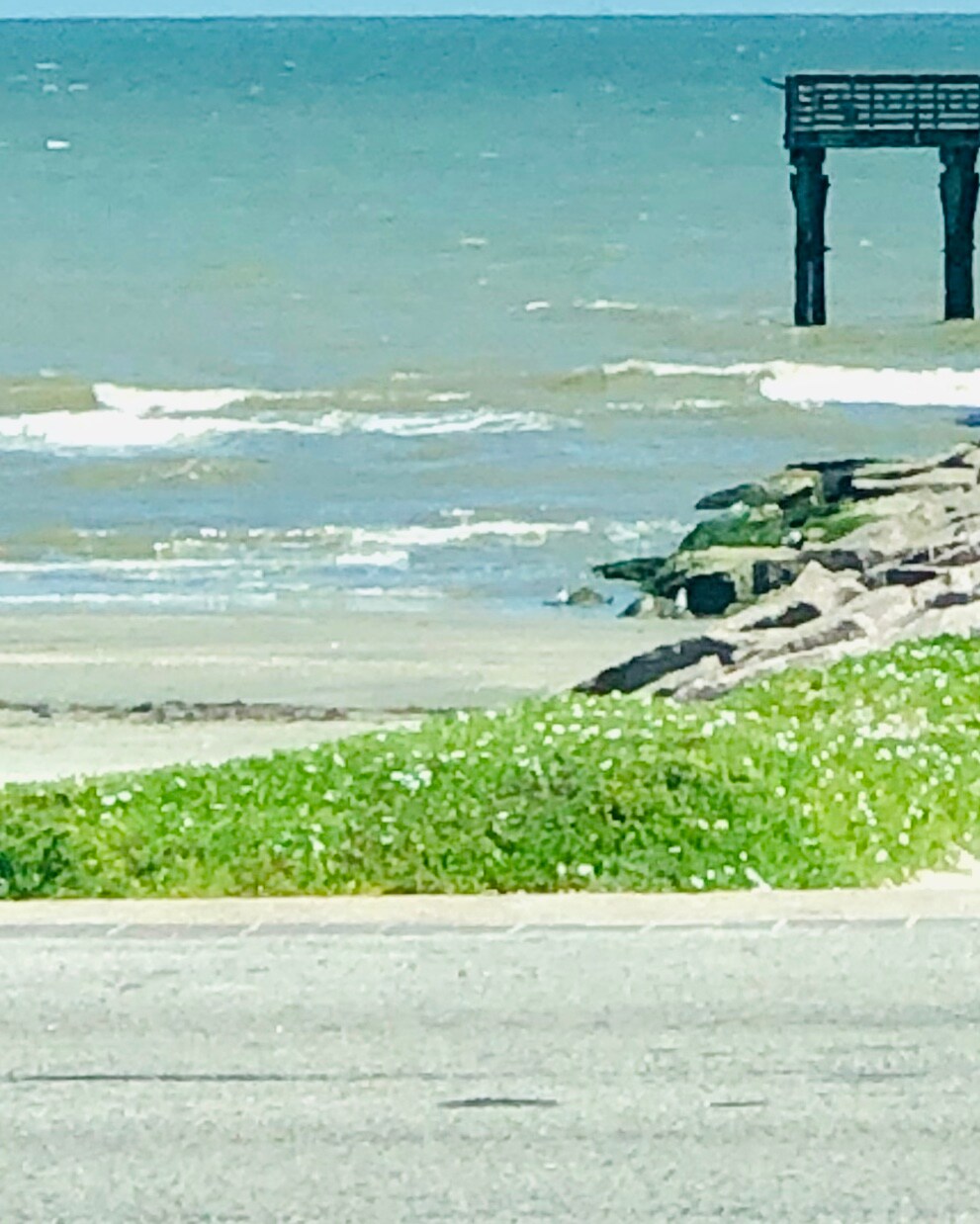 A scenic coastal view captures gentle waves lapping against the shore, with a rocky shoreline leading to a wooden pier in the distance. Lush green grass and small white flowers line the foreground, creating a natural frame for the tranquil seascape.