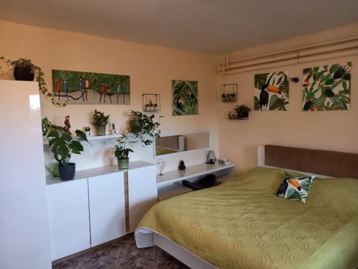 "Kioo kidogo cha msitu" katika sebule iliyokarabatiwa kwenye pwani ya Balaton.