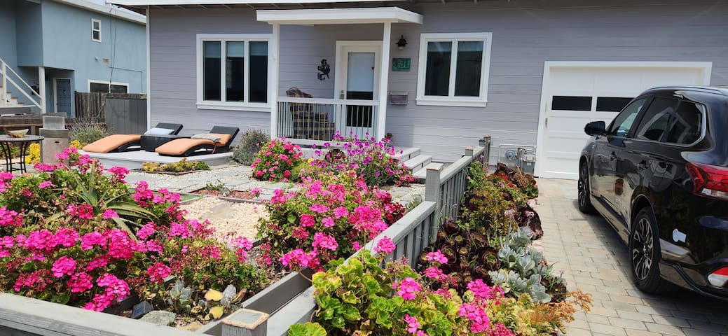 Beach Cottage Shelter Here