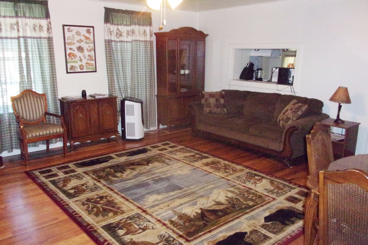 The living room features a spacious sofa accented with decorative pillows, paired with a vintage armchair. A wooden cabinet stands against one wall, while a small lamp provides soft lighting. Large windows with checkered curtains frame the room, adding a cozy touch.