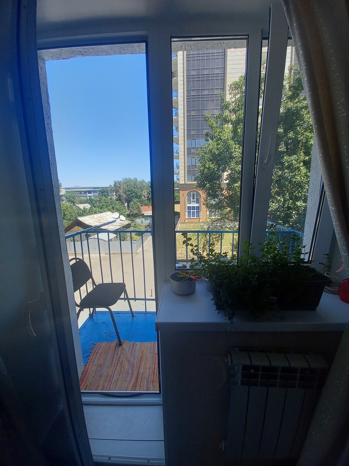 A bright balcony is shown with a view overlooking trees and nearby buildings. A small chair is positioned on the blue floor, accompanied by a potted plant on the ledge. Sunlight streams in, creating an open and airy atmosphere.