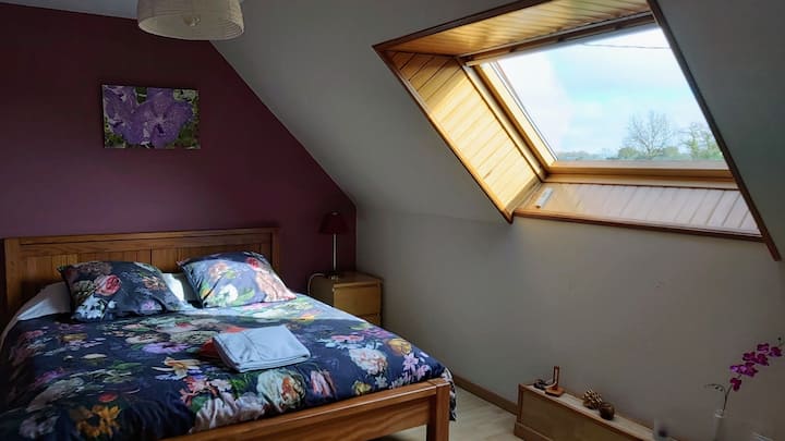 Chambre Irus
