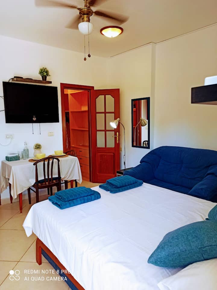 Private Room with Private Entrance in Quiet Villa