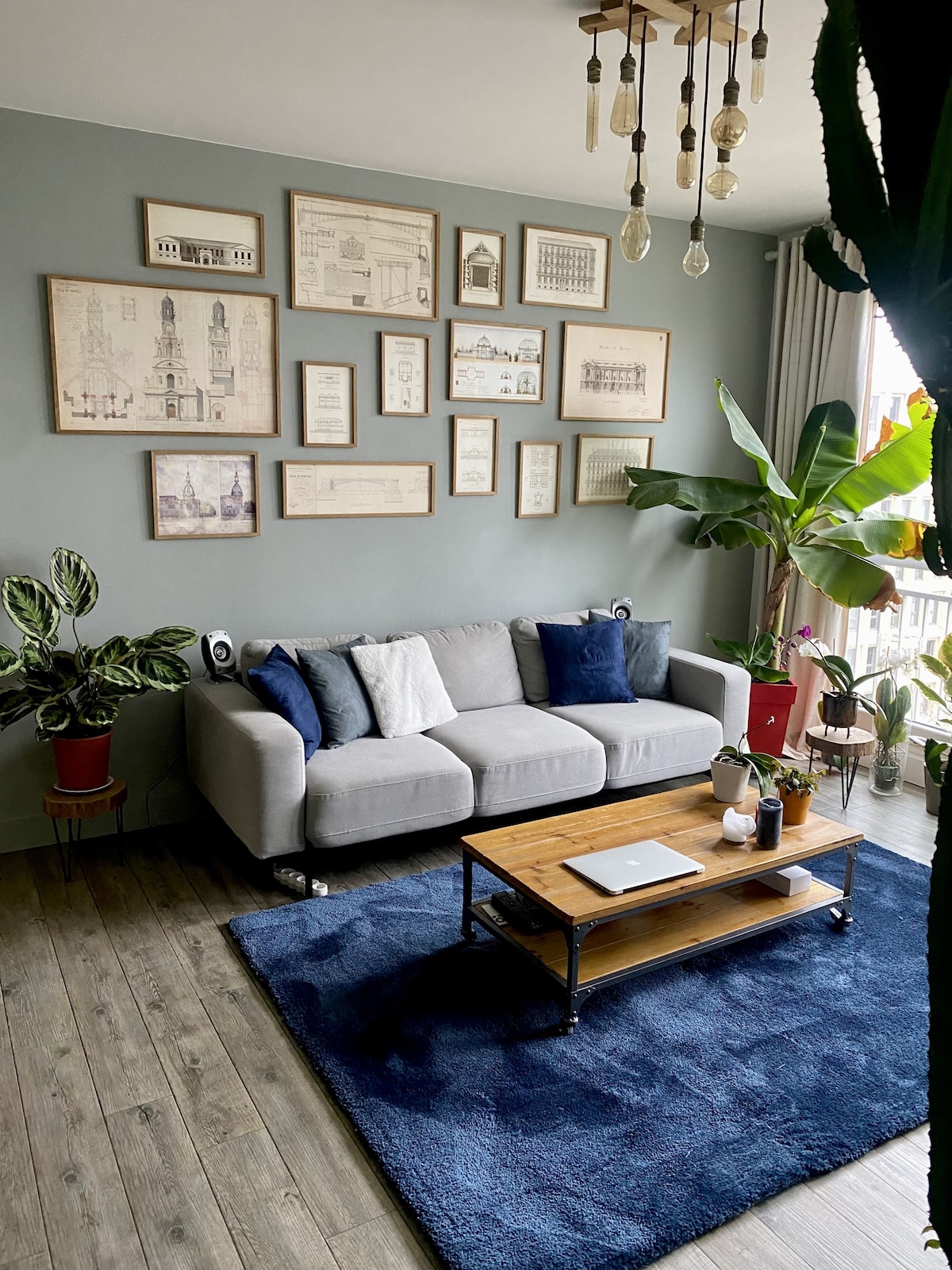 A modern living area features a light grey sofa adorned with blue and white cushions. A wooden coffee table sits atop a plush blue rug, with a laptop and decorative items arranged on it. Framed artwork adorns the wall, complemented by indoor plants in various pots.