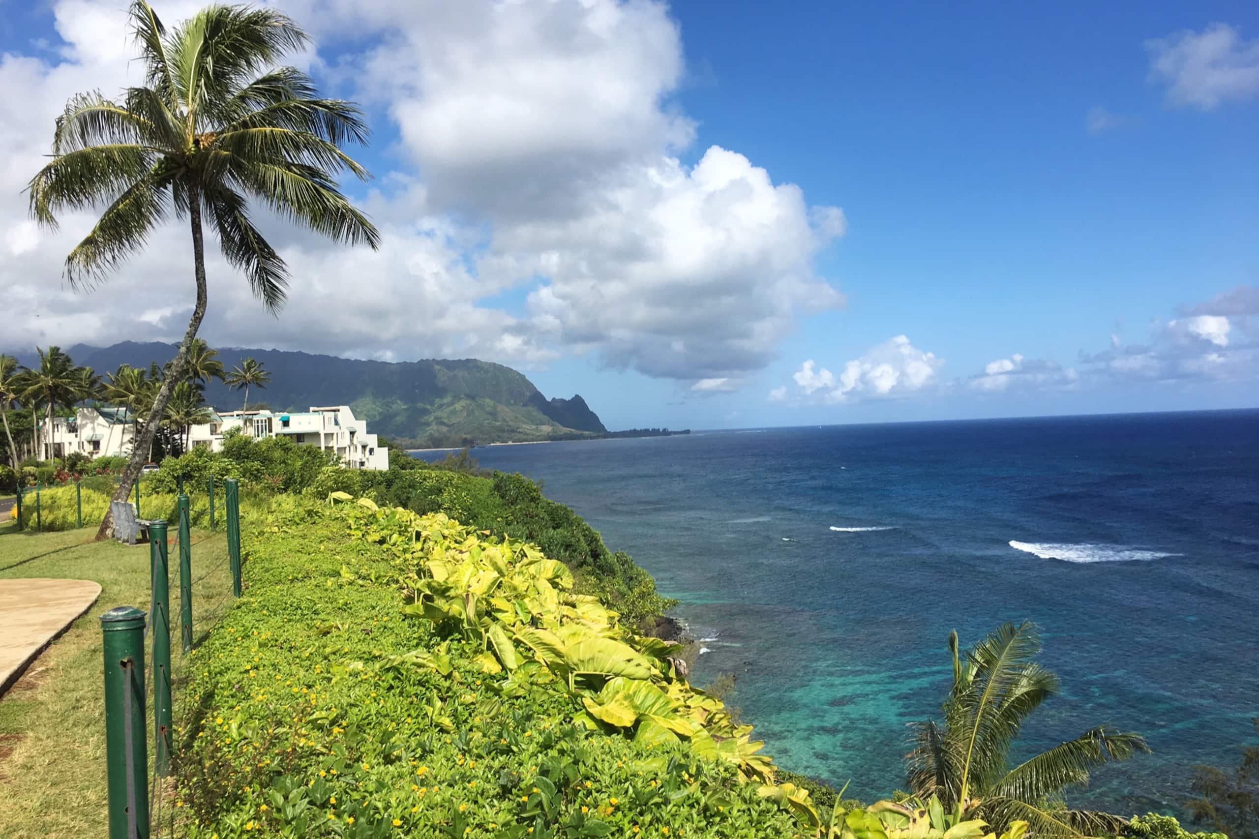 Condo in Princeville · ★4.87 · 1 bedroom · 1 bed · 1 bath - Image 13