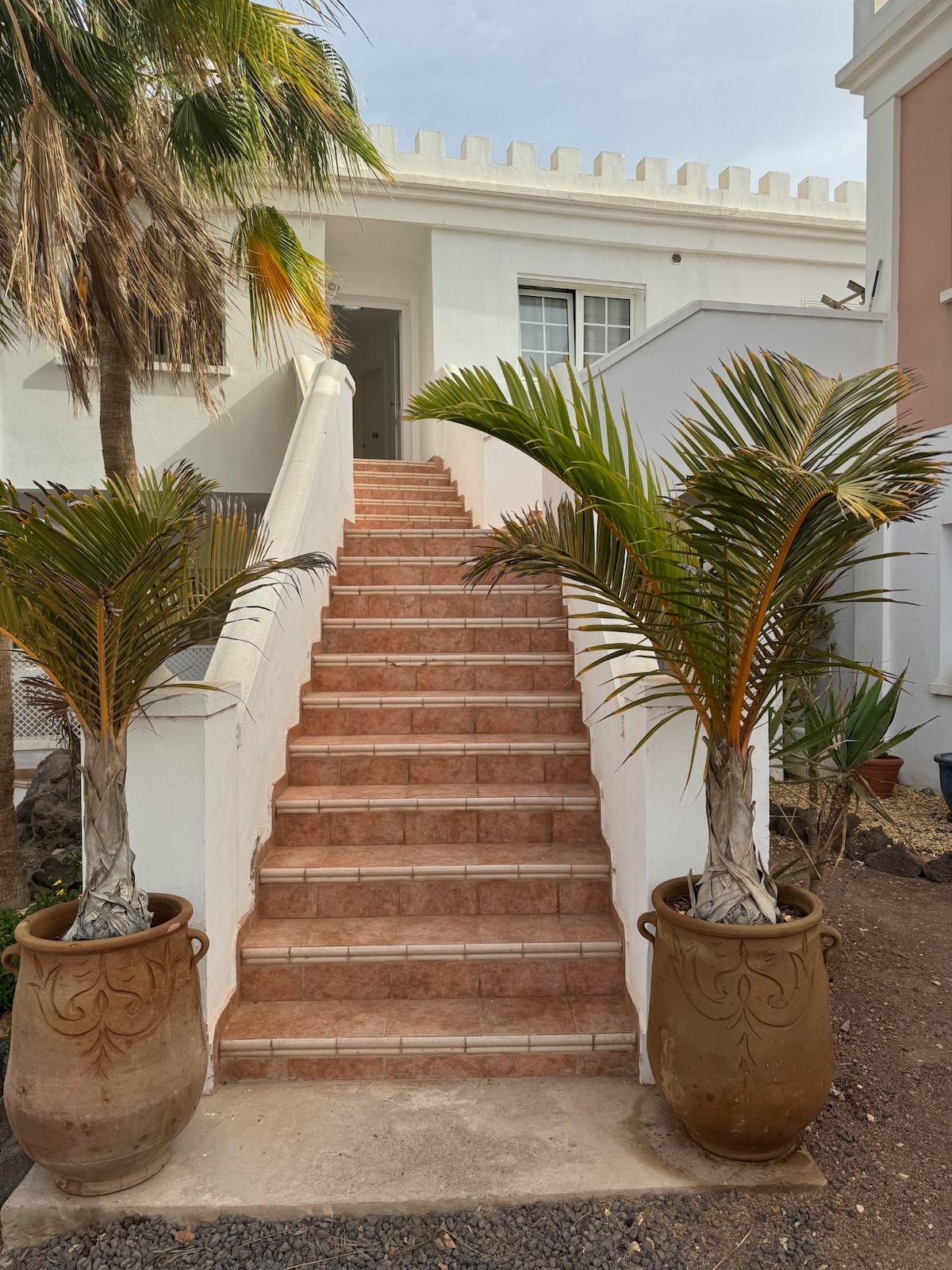 A flight of terracotta stairs leads to a white building, framed by two decorative planters containing lush green palms. The setting exhibits a clean, inviting entrance pathway enhanced by surrounding natural elements.